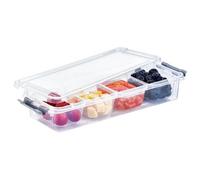 Hobby Life Flat Grand 4 Compartment 2.5L Organiser Box Clear (One Size)