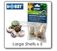 Hobby NATURAL HERMIT CRAB SEA SHELLS SET Jumbo Variety Marine Reef Fish Aquarium