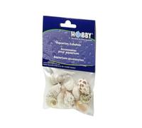 Hobby Sea Shells Set