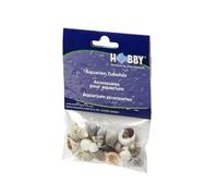 Hobby Aquarium Decoration Natural Shells Set for Hermit Crab, 20 Pieces, Natural Materials, Natural Color