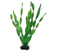 Hobby Vallisneria, 34 cm, 55 g (Pack of 1)