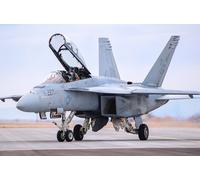 Hobbyboss 1/48 85813 F/A-18F Super Hornet