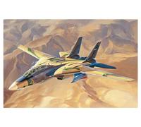 Hobbyboss 1: 48 - Iriaf F-14A Tomcat "Persian Cat"