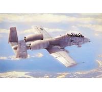 Hobbyboss 80324 - 1:48 N/AW A-10A Thunderbolt II- New