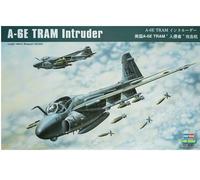 Hobbyboss 1:48 Scale A-6E TRAM Intruder Model Kit (Grey)