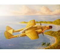 Hobbyboss 81730 - 1:48 US P-61A Black Widow- New
