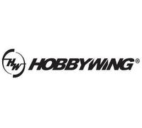 Hobbywing EZRUN-SL-4985-1650KV-Blk-Combo Max6 HW38010801 C