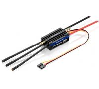 Hobbywing SeaKing 120A V4 Brushless Waterproof ESC RC Boat HW30302363