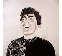 Hobo Johnson - The Rise of Hobo Johnson