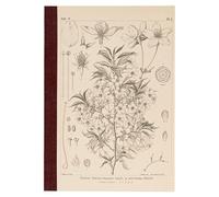 ほぼ日 Hobonichi Techo Accessories Hobonichi Graph Notebook (A5) - Yamazakura