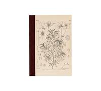 ほぼ日 Hobonichi Techo Accessories Hobonichi Graph Notebook (A6) - Yamazakura