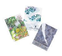 Hobonichi Techo Accessories iyo okumi: Hobonichi Clear Folder Set of 3 for A6 Size (iyo okumi)