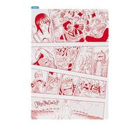 Hobonichi Techo Accessories ONE Piece Magazine: Hobonichi Pencil Board for A5 Size (Memories - Skypiea)