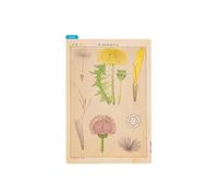 Hobonichi Techo Accessories Tomitaro Makino: Hobonichi Pencil Board for A6 Size (Tomitaro Makino)