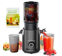 Hobsir Juicer Machines, 5.3-Inch Cold Press Juicers, Masticating Slow Juicer Machine with 300W, Large Feed Chute Juice Machines for Vegetables and Fruits, Easy to Clean Juicers Magic, Black