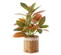 Hobyhoon Artificial Plant indoor faux fiddle leaf fig desk plant artificial plants in pots,brazilian wood plant for table centrepiece