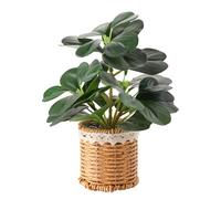 Hobyhoon Artificial Plant indoor faux fiddle leaf fig desk plant artificial plants in pots,brazilian wood plant for table centrepiece