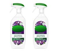 HOCHSTE® Concentrated Disinfectant, Long-Lasting Fragrance, Multi-Purpose Cleaner, Leaves No Residue, Kills Bacteria and Viruses, Perfect For Everyday Hygiene, (Midnight Blooms, Set of 2, 800ml)