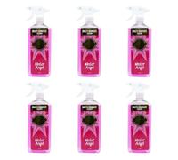 HOCHSTE® Fabulosa Multi-Purpose Spray Cleaner Winter Angel, Ready to Use All Purpose Household Cleaning Spray, Fresh Fragrance, Kitchen, (750ml, Set of 6)