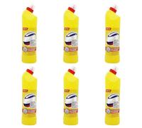 HOCHSTE® Multi-Purpose Household Cleaner, Toilet, Bathroom & Hard Surface Cleaning Liquid, Thick Bleach Formula for Toilet Care, (750ml, Citrus Fresh., Pack of 6)