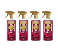 HOCHSTE® Multi-Surface Cleaner, Trigger Spray, 4Pcs