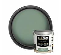 HOCHSTE® One Coat Muted jade Matt Paint, Long-Lasting Durability, Stain Resistance, Mould Protection, Effortless Application, Fast Drying Performance, DIY Enthusiasts, Quick-Drying, 2.5L