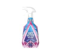 HOCHSTE® Oxy Active Fabric Stain Remover Spray,Tough on Stains, Gentle on Fabrics,Instant Stain Removal with Oxygen Power,Powerful & Effective, Fabric Spray for Clothes, Upholstery,Fast-Acting, 750ML