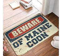 Hocus Pocus Bathroom Decor Hey There Pumpkin Doorm Beware of Maine Coon Door Mat Haunted Mansion Decor Halloween Kitchen Mat (Color : MD2470, Size : 16x20in)