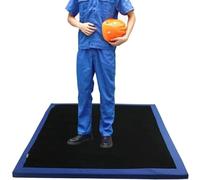 hocvseo Shoe Soles Disinfecting Floor Mats, Sanitizing Mat Sponge Entrance Mat, Shoe Sanitizer Mat Entry Rug Front Door Mat, for Laboratory Hospital Animal Husbandry Outdoor