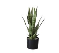 Hodeffior Artificial Snake Plant, PVC Faux Sansevieria Potted Plant Indoor Decorative Small Faux Potted for Home Office Living Room Decor-50cm