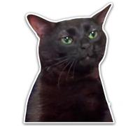 Hodge Creations Zoning Out Cat Meme Pack of 4 Vinyl Decal Sticker Car Scrapbook Laptop Bumper Sticker Window