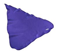 Hodge FBP Flute Swab, Purple