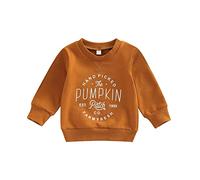 HodJIU Toddler Halloween Jumper Baby Boy Girl Pumpkin Print Long Sleeve Crewneck Sweatshirt Pullover T Shirt Infant Kids Fall Winter Clothes (Brown Letter, 2-3 Years)