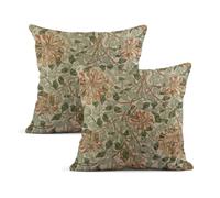HODKHNO Throw Pillow Covers Set of 2, Fine Honeysuckle Ii Morris William 1834 Designs Endpapers Marbled Home Decorative Pillowcases Cushion Case Covers for Couch Bed Sofa 18x18 Inch