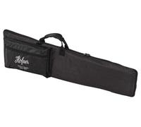 Höfner Bag Shorty Guitar