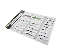 Hoement Flute Chord Learning Guide Thick Coated Chart Printing Useful Note Reference for Beginners Practice and Teaching Aid Music Fingering Table