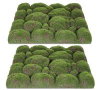 Hoement Moss Wall Panel 2 Pcs Artificial Garden Decor Plastic Coffee Realistic Appearance for Offices and Other Spaces