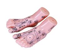 Hoement Reflexology Foot Display Model 1 Pair Human Foot Massage Simulation for Classroom and Clinical Use Compact PVC Acupuncture Practice Aid
