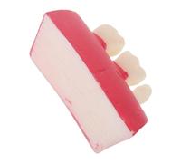 Hoement Root Canal Model for Dental Training, Plastic Filling Practice with Effortless Maintenance, for Dental Teaching and Skill Advancement in Clinical and Student Education