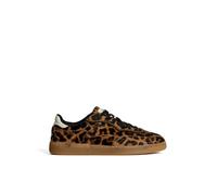 HOFF Alley Womens Fashion Trainers in Leopard - 4 UK