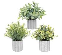 HOFMEFY Small Fake Plants in Geometry Concrete Pots Farmhouse Bathroom Decor Rustic Centerpieces for Table Decoration Shelves Faux Eucalyptus Set of 3