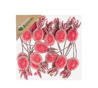 Hogewoning Frosted Red Rosehips Fruit Picks on Wire - Decorative 5cm Faux Rosehips for Home and Christmas Decor.
