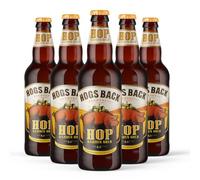 HOGS BACK BREWERY, Hop Garden Gold | English Golden Ale | A Light And Refreshing Golden Ale | Case of 12 x 500ml Bottles