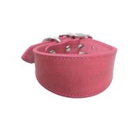 hogtnd Wide Padded Dogs Collar Genuine Leathers Puppy Collars for Lurchers Italian Greyhounds Comfortable Pet Dogs Accessories Whippets Collar Lurcher Collar Sighthounds Collar