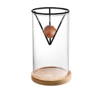 Hogvinnatil Avocado Tree Starter Vase, Avocado Growing Vase, 3-Piece Growing Set, Avocado Tree Starter Vase, Plant Pot, Sprout Propagation, Growing Vase for Table Decoration and Gardening