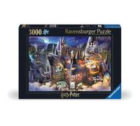 View of Hogwarts Castle / Harry Potter