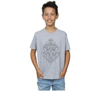Hogwarts Draco Dormiens Crest T-Shirt Harry Potter Grey 7-8 Years
