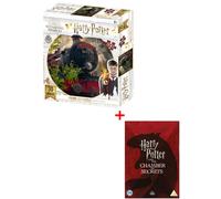 Hogwarts Express 500pc 3D Jigsaw + Harry Potter & the Chamber of Secrets (DVD)