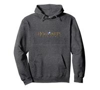 Hogwarts Legacy Gold Logo Pullover Hoodie, Adult Unisex, Dark Heather Grey, X-Large