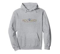 Hogwarts Legacy Gold Logo Pullover Hoodie, Adult Unisex, Heather Grey, X-Large
